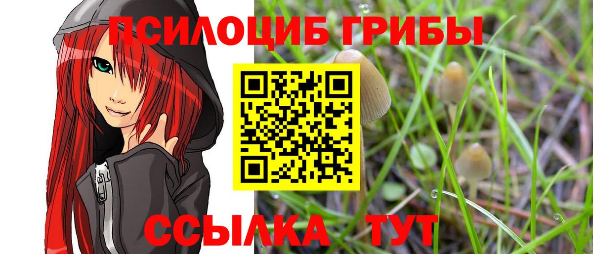 Коркино  Псилоцибиновые грибы GOLDEN TEACHER  Вход с VPN 